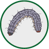 Cartridge caterpillar