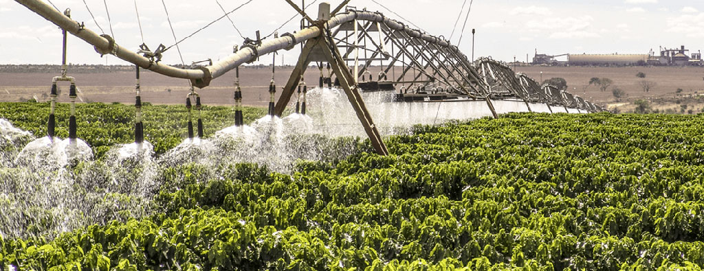 Empresa de irrigação apresenta plano de expansão em Uberaba