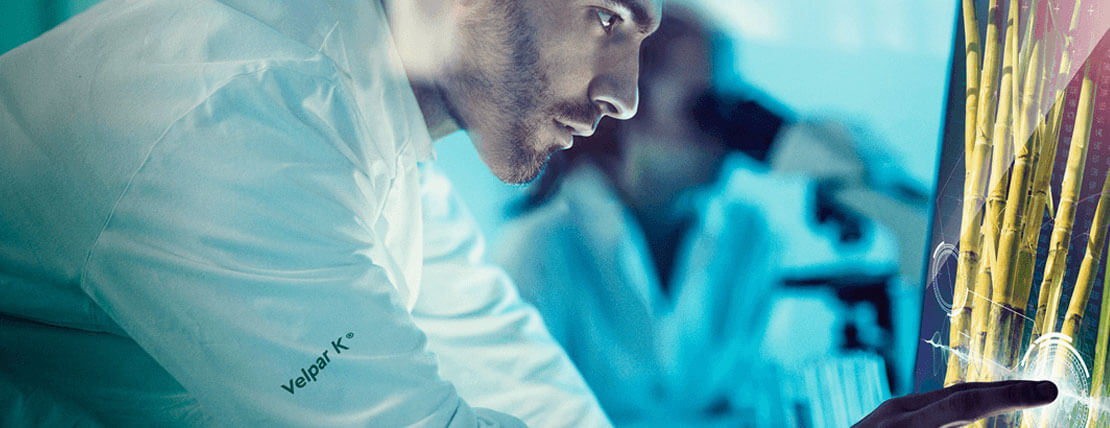 Ourofino Agrociência anuncia início de produção para Velpar K® e Advance®