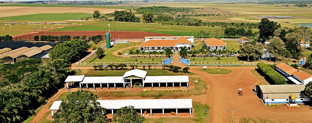 Desenvolvimento com DNA brasileiro