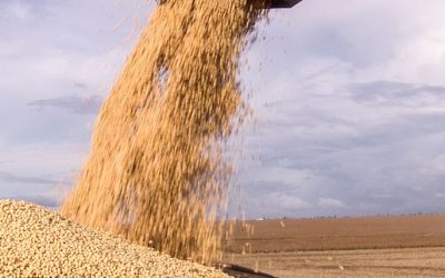 Safra brasileira de grãos pode bater recorde