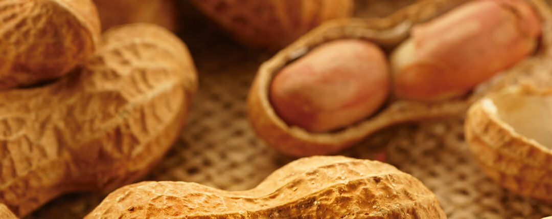 “O que se produz de amendoim, o mundo consome”