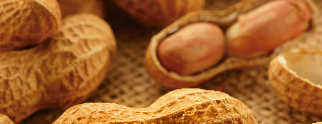 “O que se produz de amendoim, o mundo consome”