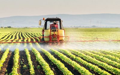 Reimaginando a agricultura brasileira