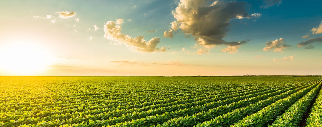 Não tem tempo ruim!