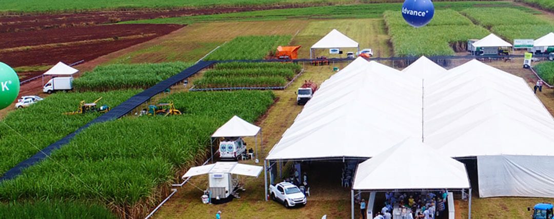 Setor sucroenergético se encontra aqui