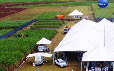 Setor sucroenergético se encontra aqui
