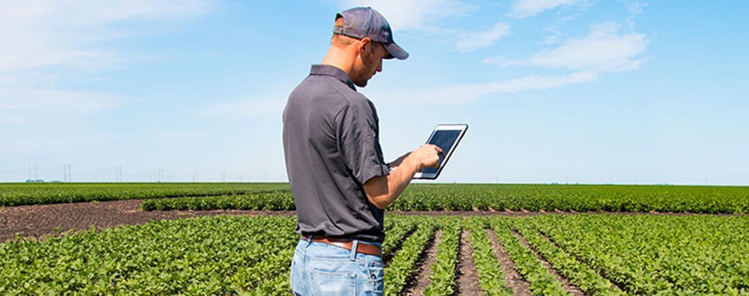 Tradição e tecnologia em favor da informação