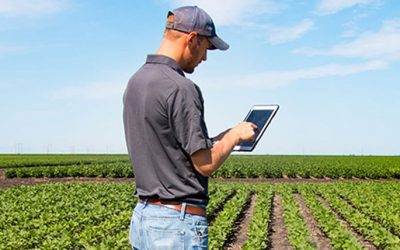 Tradição e tecnologia em favor da informação