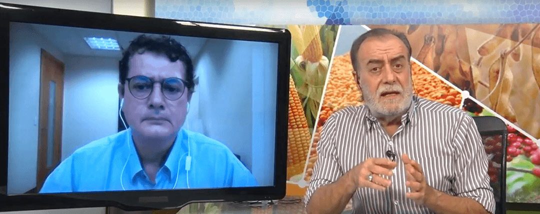 Mudas Pré-Brotadas: alta seletividade e performance no manejo