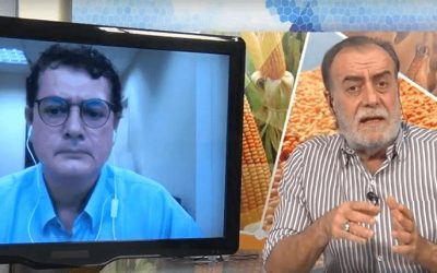 Mudas Pré-Brotadas: alta seletividade e performance no manejo