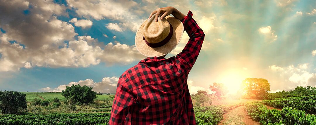 Agronegócio se destaca no cenário econômico