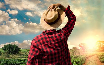 Agronegócio se destaca no cenário econômico