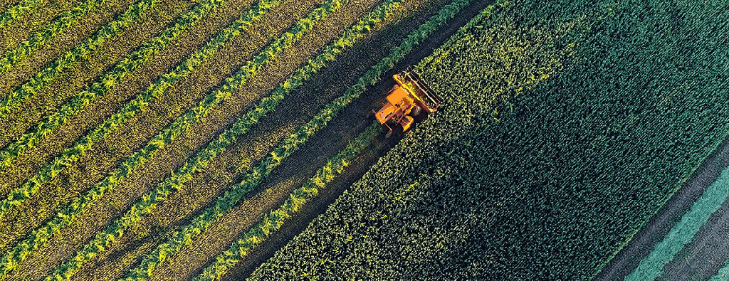 Embrapa lança o “Visão 2030: o futuro da agricultura brasileira”