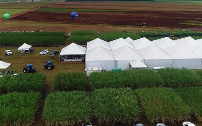 Prepare-se para o Agroencontro 2018