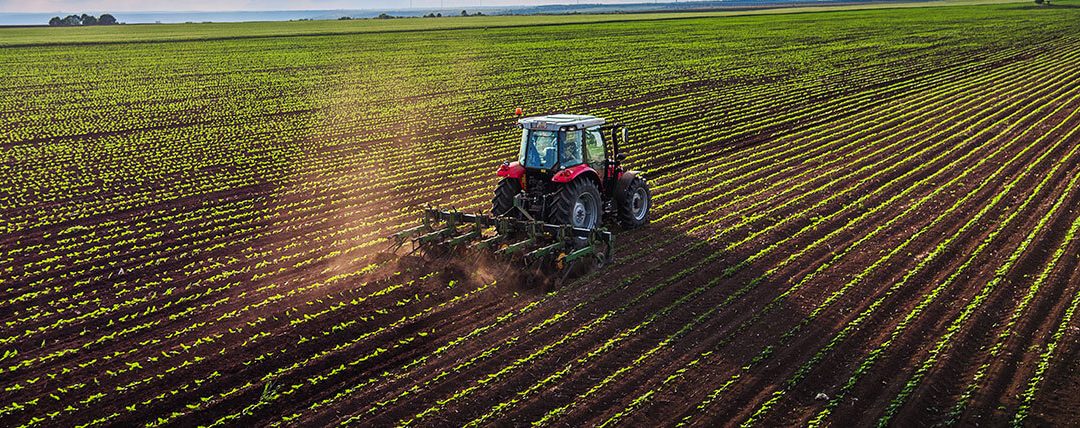 Revendas e cooperativas são demandantes de inovações