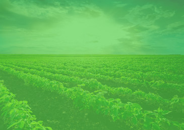PonteiroBR é o herbicida Reimaginado para a Agricultura Brasileira