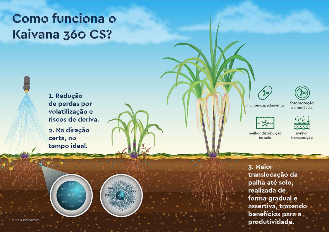 Herbicida Kaivana 360 CS reduz as perdas por volatilização