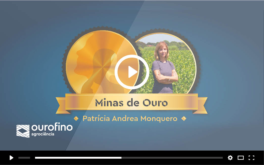 Minas de Ouro: conheça a história da Patrícia Monquero