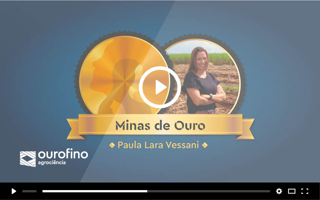 Minas de Ouro: conheça a história da Paula Lara Vessani
