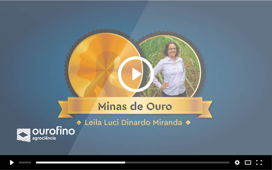 Minas de Ouro: conheça a história da Leila Luci Miranda