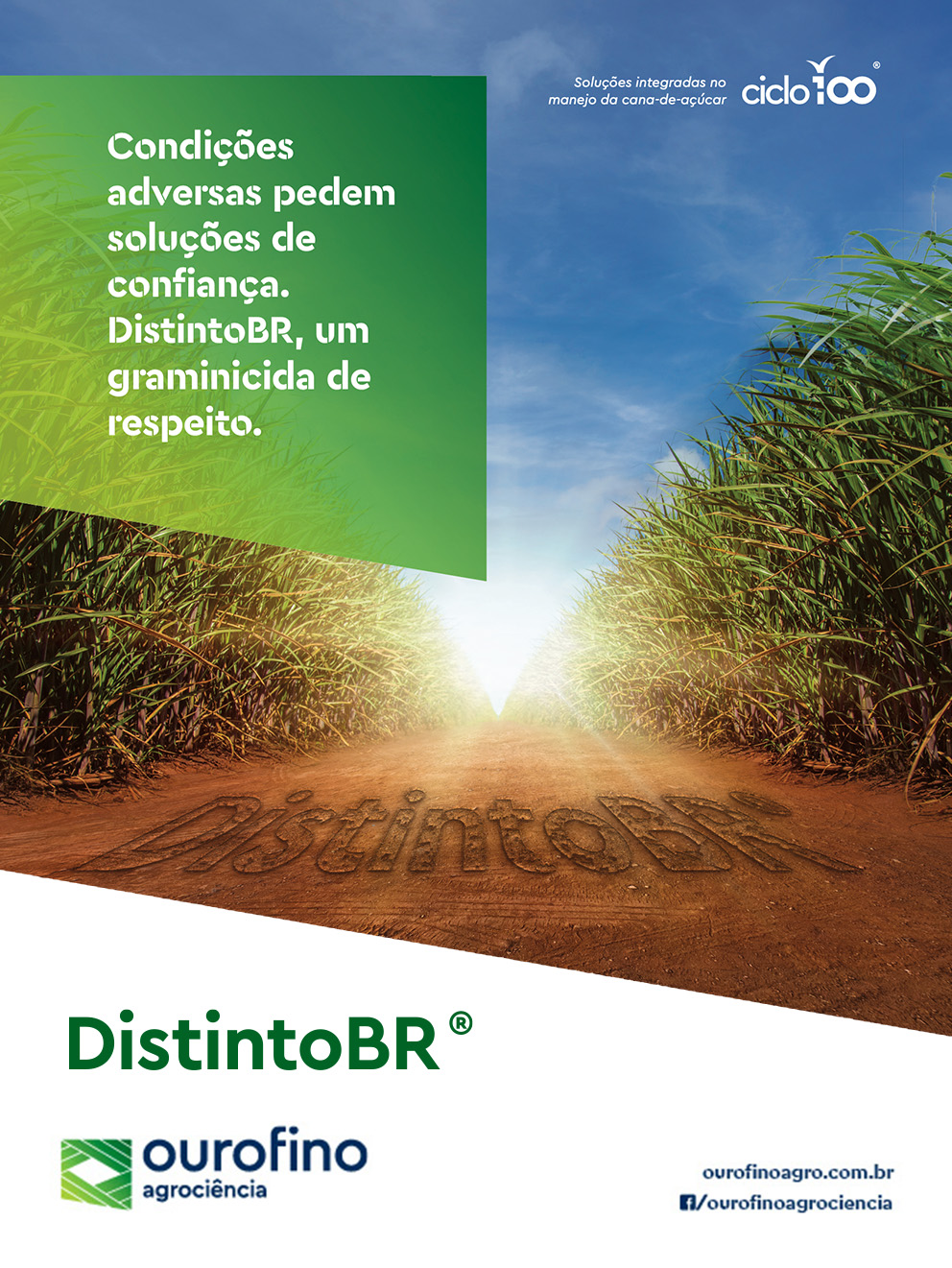 Herbicida DistintoBR Ourofino Agrociência