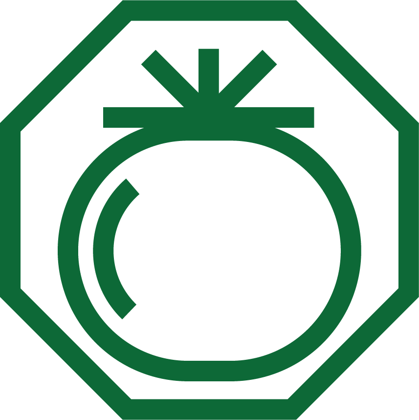 TOMATE Pictograma Cultura Ourofino Agrociencia Pragas Doencas