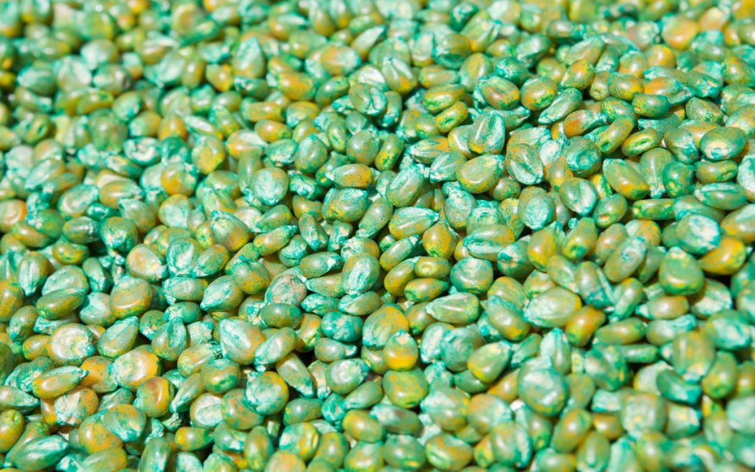 tratamento de semente no arroz e milho inseticida