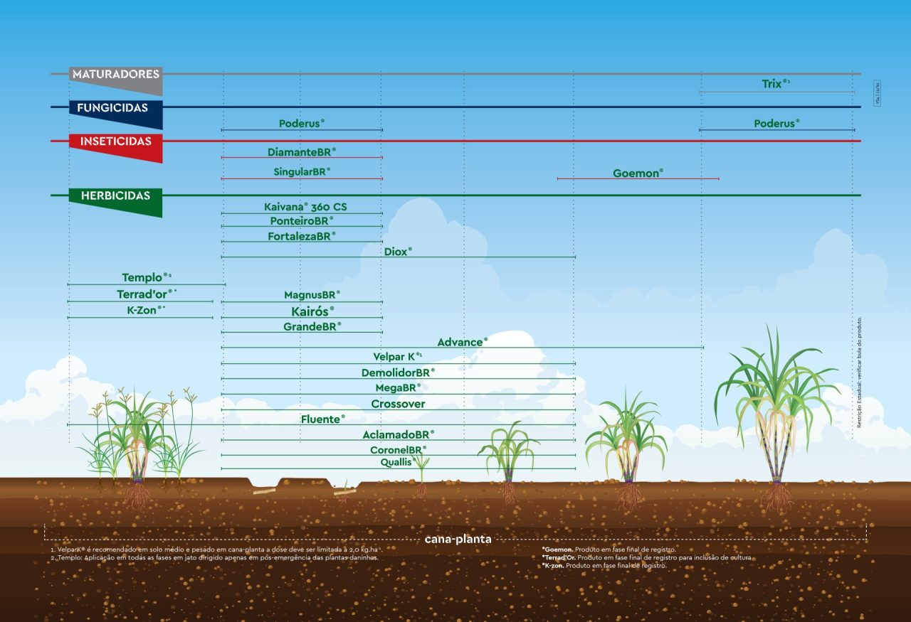Cana-de-açúcar - Ourofino Agrociência