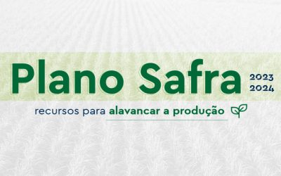 Plano Safra 2023/24: recursos para alavancar a produção brasileira
