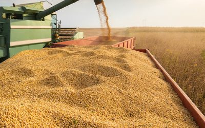 Análise do mercado de grãos Brasil X EUA: panorama e perspectiva para o futuro