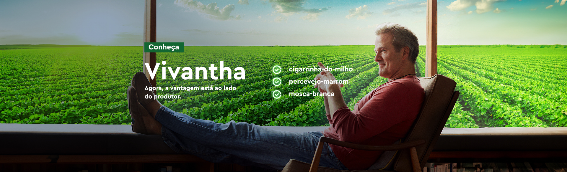 Vivantha - Inseticidas - Ourofino Agro