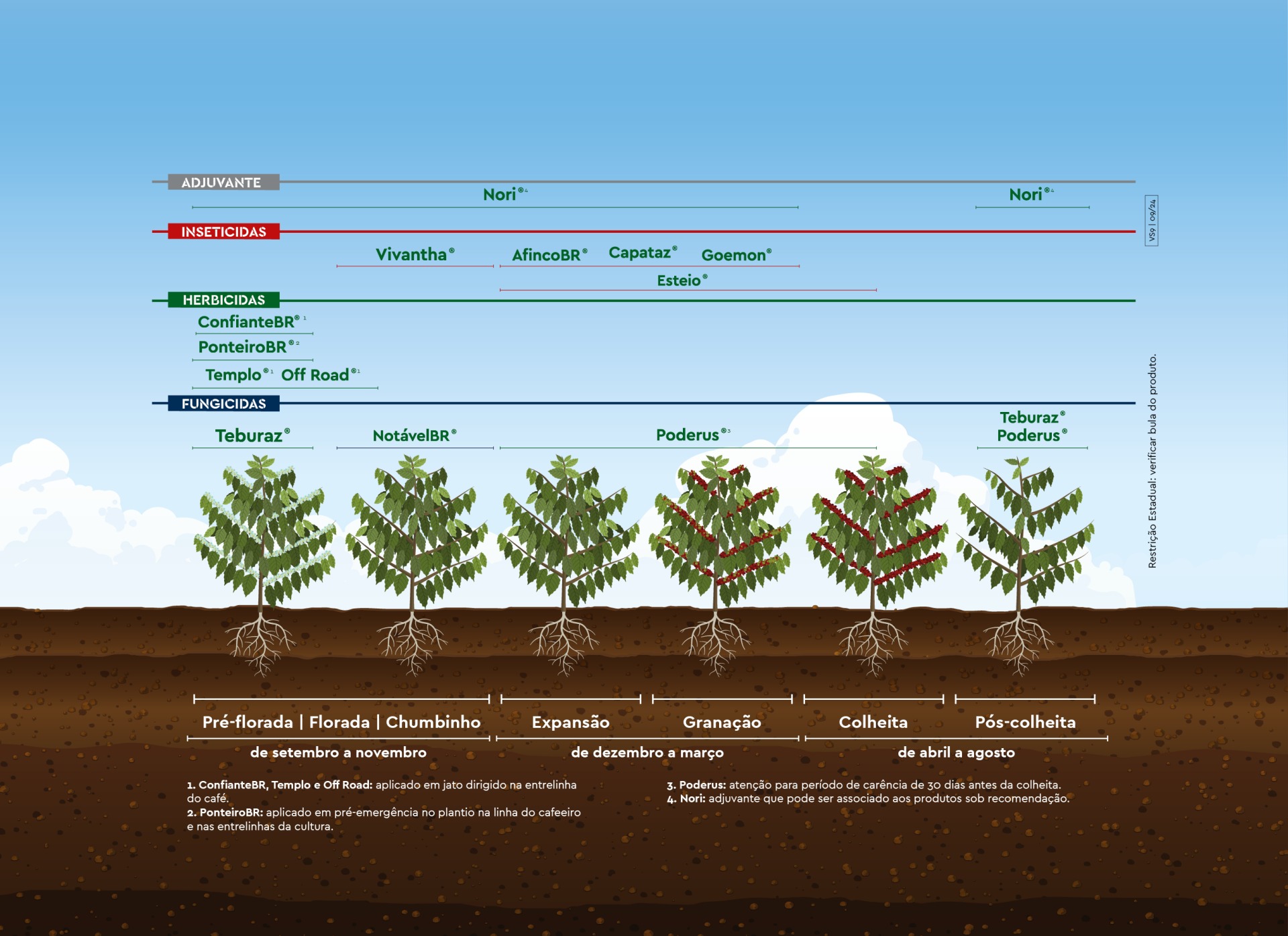 Grafico_fenologico_cafe_fungicida_inseticida_herbicida_02223OF01
