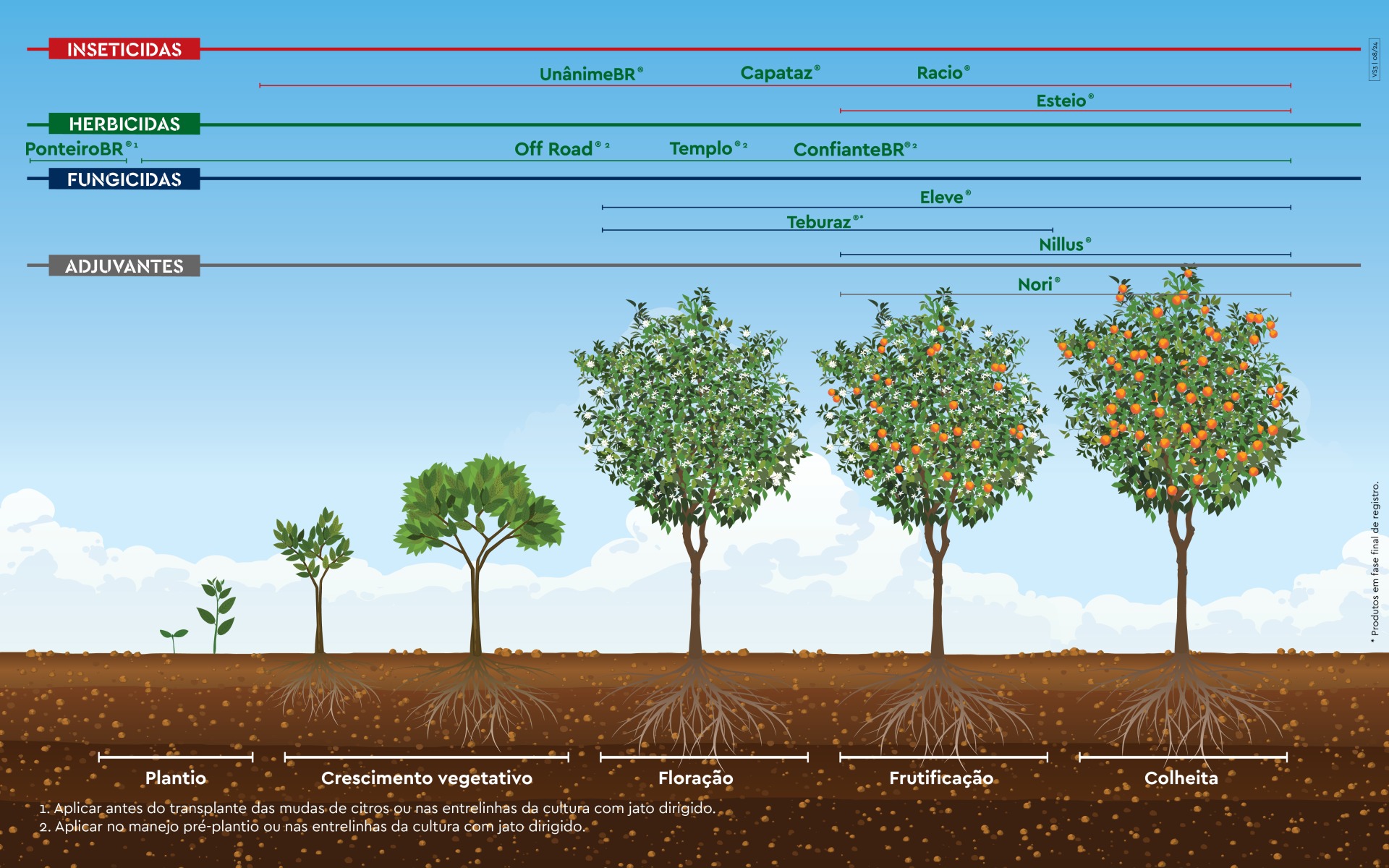 Grafico_fenologico_cafe_fungicida_inseticida_herbicida_02223OF01