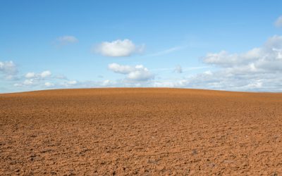 Vazio sanitário da soja em Mato Grosso em 2025