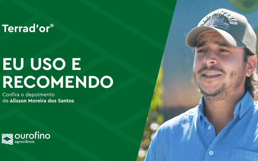 33 mil hectares ameaçados por plantas daninhas: o que resolveu de verdade