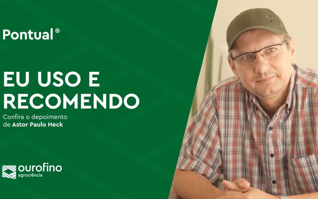 Pontual resolve problemas com doenças na lavoura