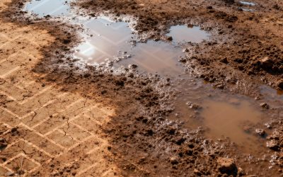 La Niña 2025/26 desafia início do plantio da soja e reforça papel do manejo integrado nas principais regiões produtoras