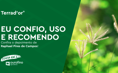 Manejo de plantas daninhas de difícil controle: consultor Raphael Pires de Campos revela sua estratégia