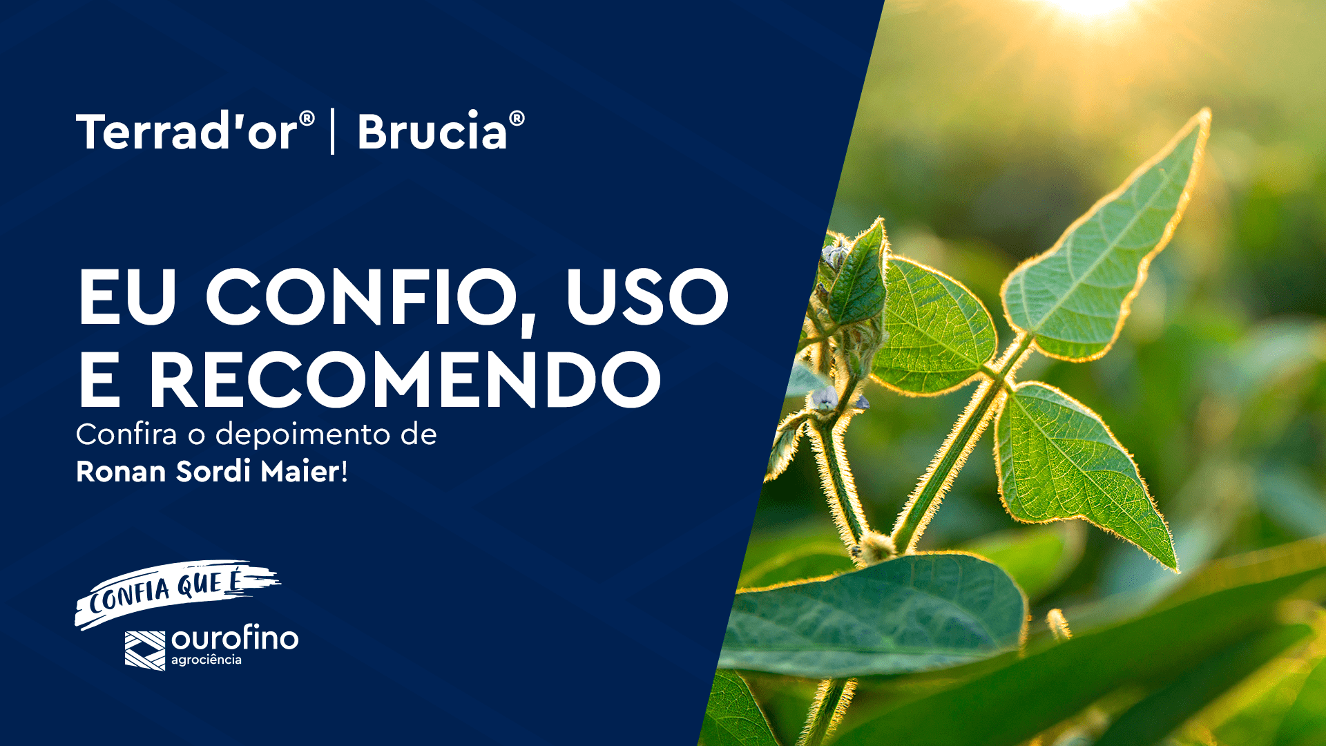 Produtor Ronan Sordi Maier revoluciona o manejo de ervas daninhas em soja e milho