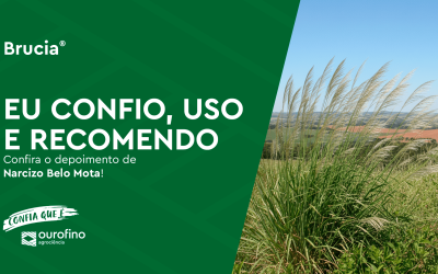 Produtor Narcizo Belo Mota soluciona controle de capim-amargoso no milho safrinha