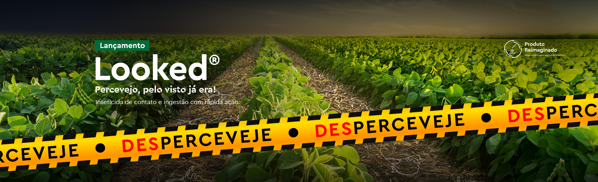 Looked - Inseticidas - Ourofino Agro