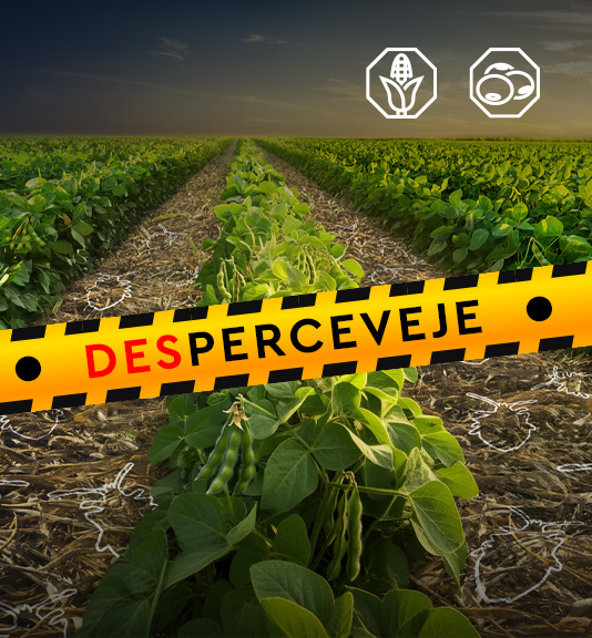 Looked Destaque - Inseticidas - Ourofino Agro