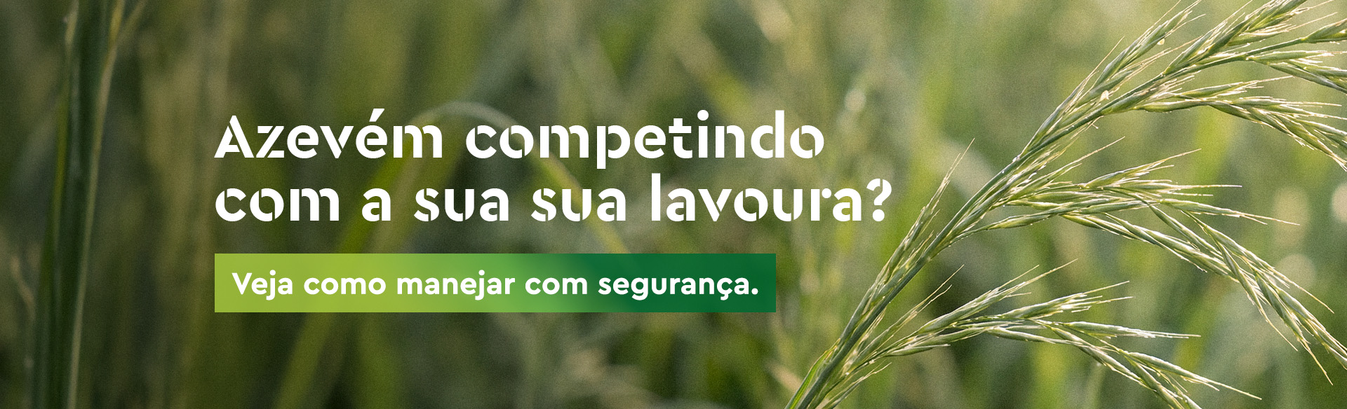 Alvo Azevém - Ourofino Agro