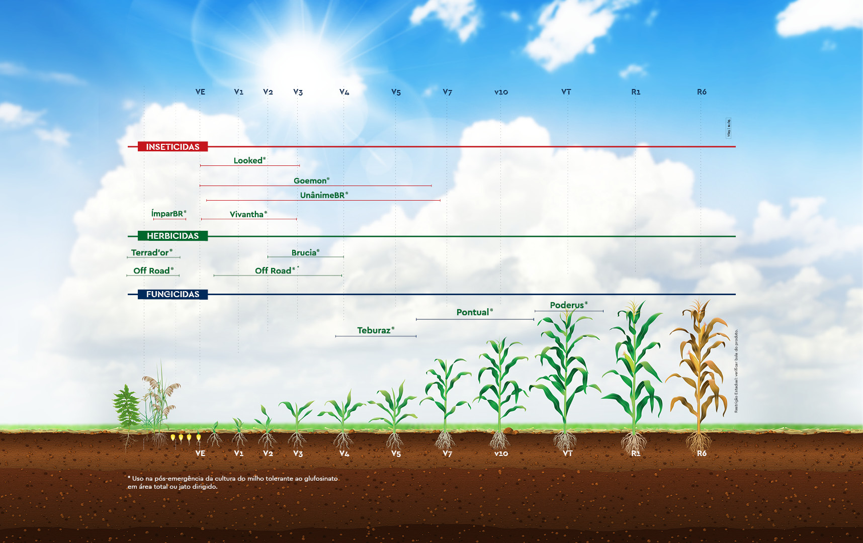 Grafico_fenologico_milho_fungicida_inseticida_herbicida_02223OF01
