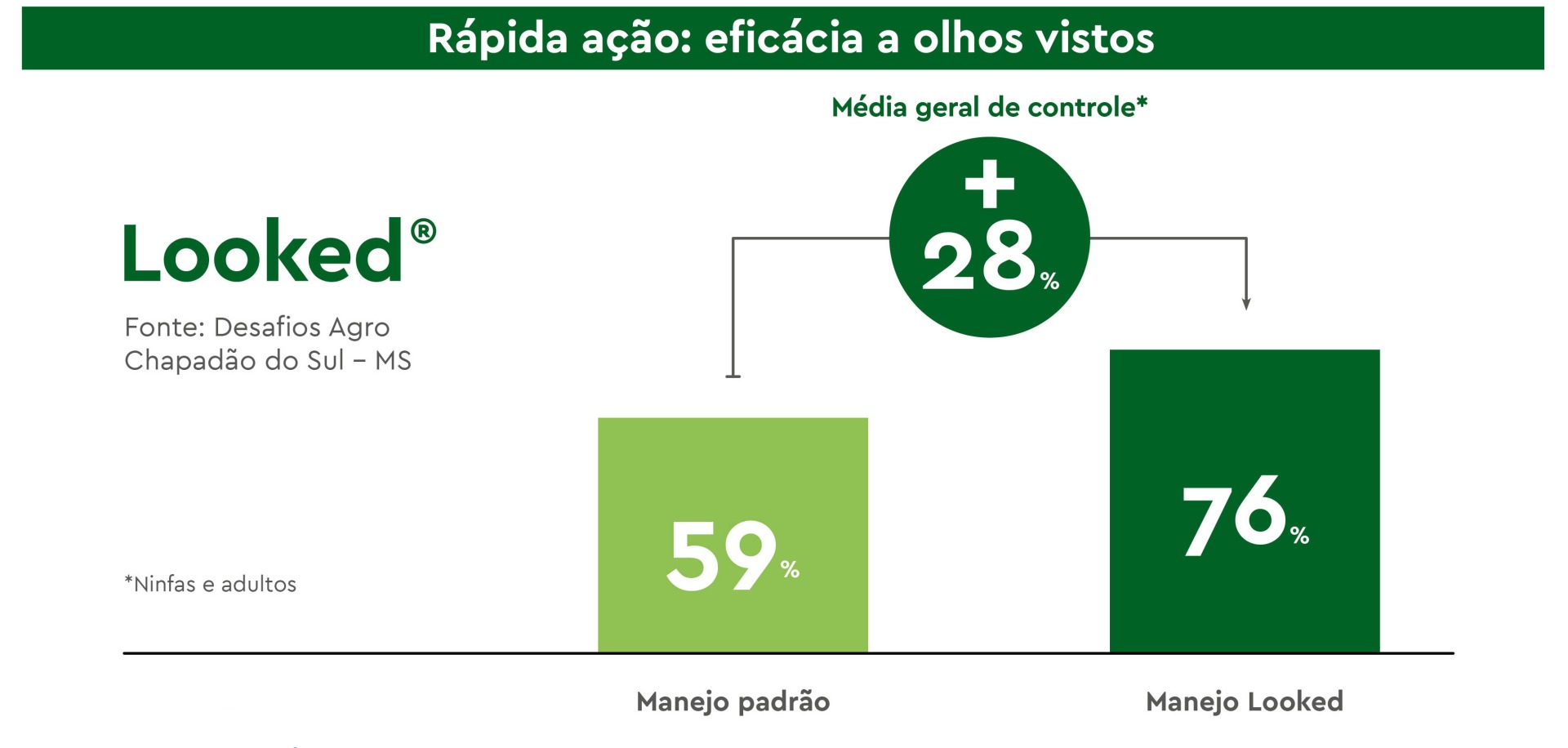 Looked Soja resultados