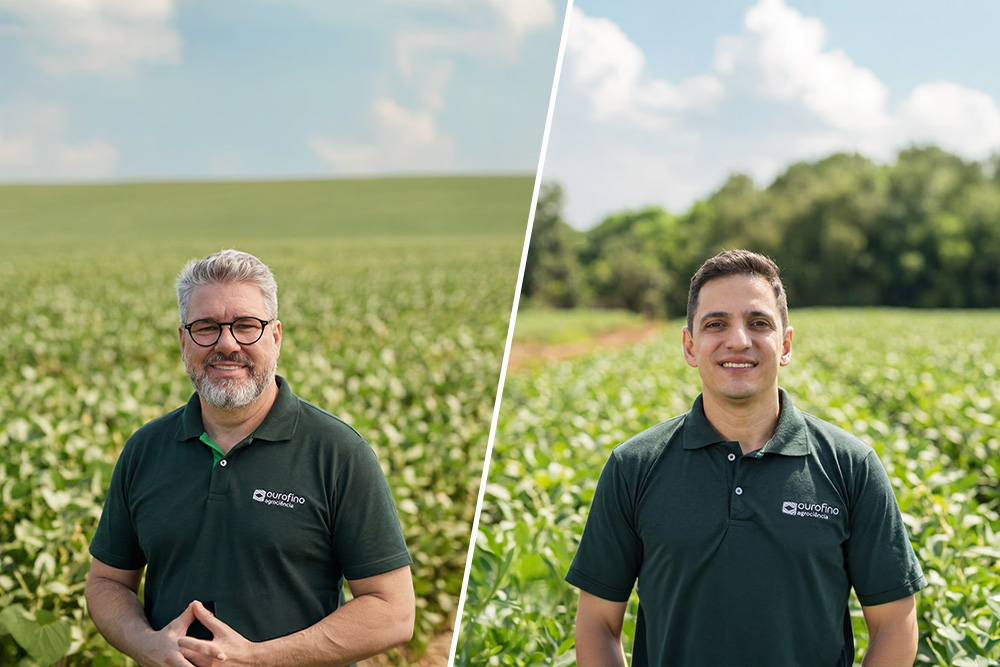 Fortalecimento da estrutura de marketing agrícola impulsiona estratégia regional da Ourofino Agrociência