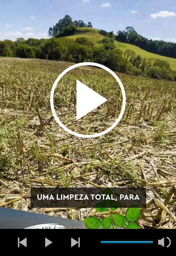 Definir manejo eficiente de dessecação pós-colheita do milho garante plantio limpo