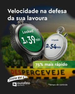 ação rápida contra percevejos na lavoura com efeito de choque imediato