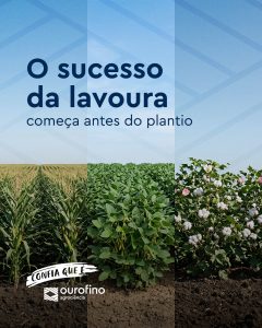 dessecação pré-plantio para controle de plantas daninhas resistentes antes do plantio